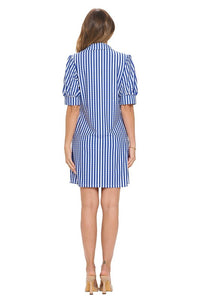 Blue Gingham Asher Dress
