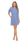 Blue Gingham Asher Dress