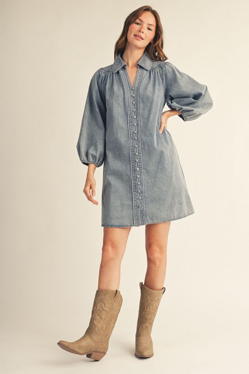 Denim Belle Dress