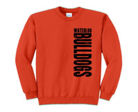 School Spirit Sweatshirt