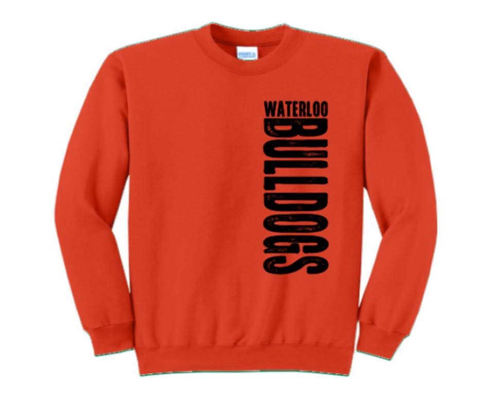 School Spirit Sweatshirt